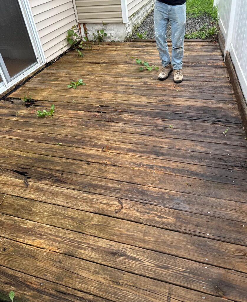 whatsapp image 2025 08 09 at 3.24.52 pm (1)